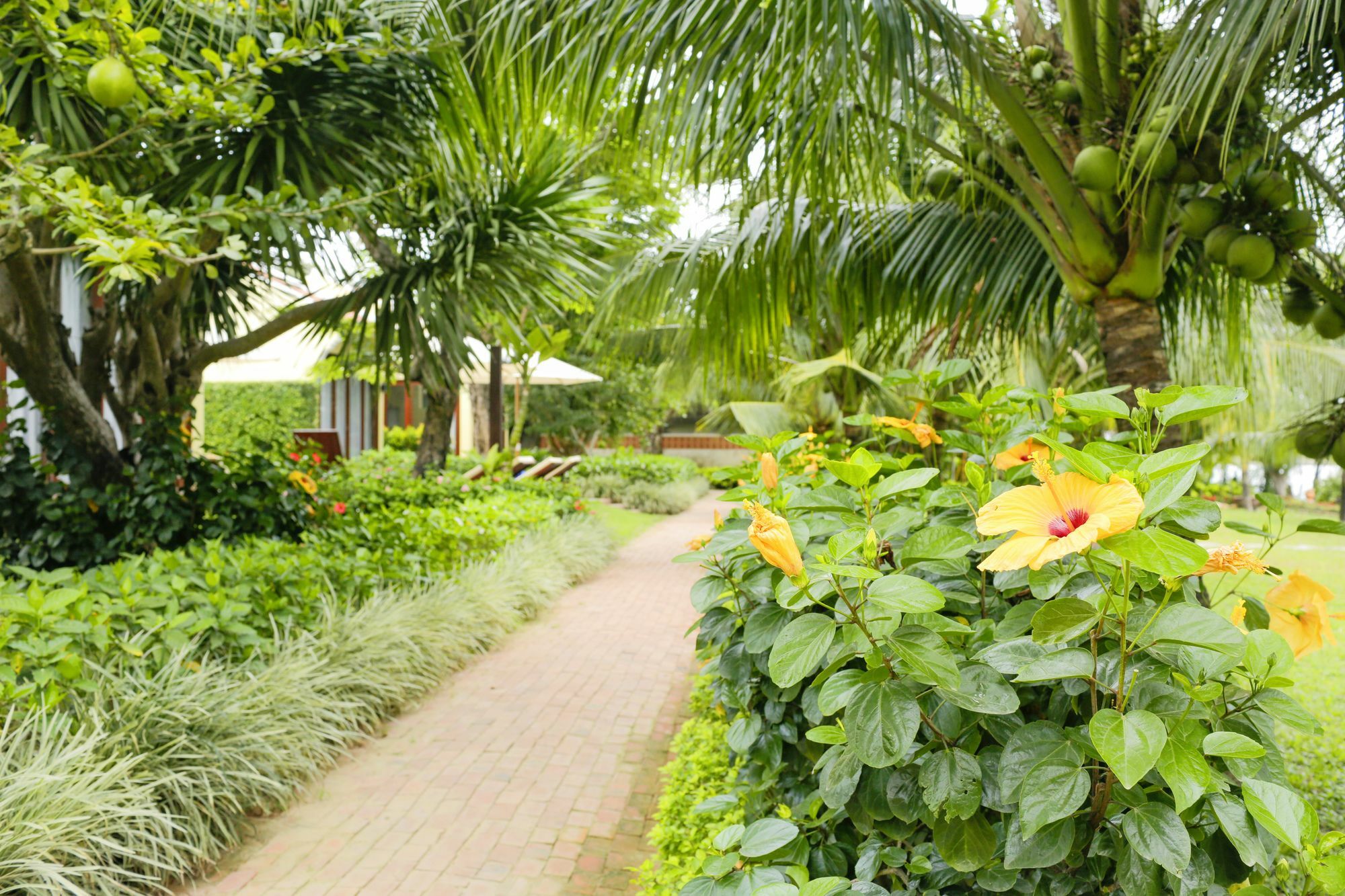 Mulberry Collection Silk Marina Imperial Wing Hotell Hoi An Exteriör bild